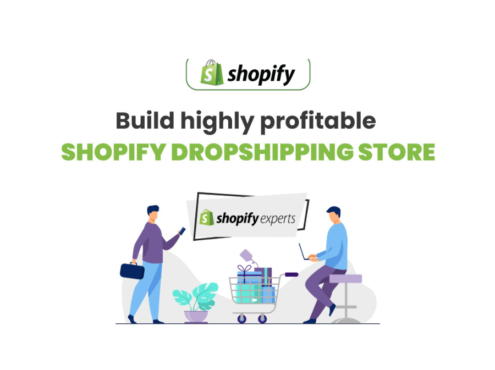 Build highly profitable Shopify dropshipping store