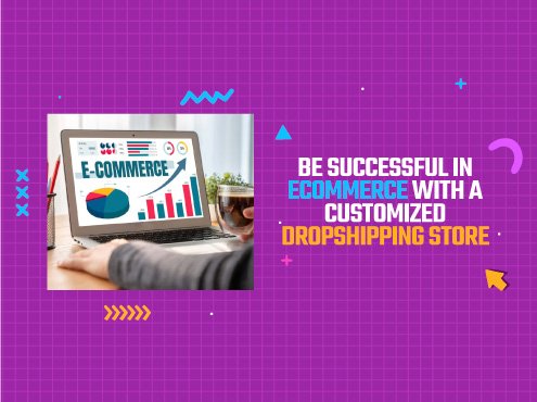 Ecommerce with a customized dropshipping store