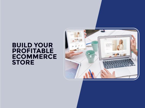 Profitable ecommerce store