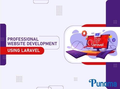 Professional website development